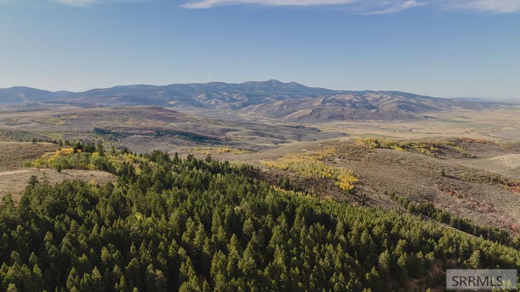 N Pescadero Road Bern, ID 83220 - Photo 3 of 6