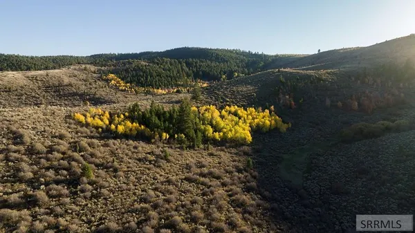 $3,750,000 | N Pescadero Road, Montpelier, ID 83254