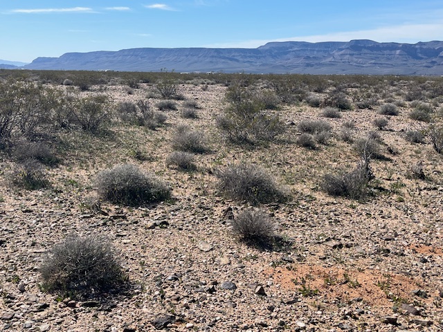 208-21-068 Arlington Road Yucca, AZ 86438 - Photo 15 of 18