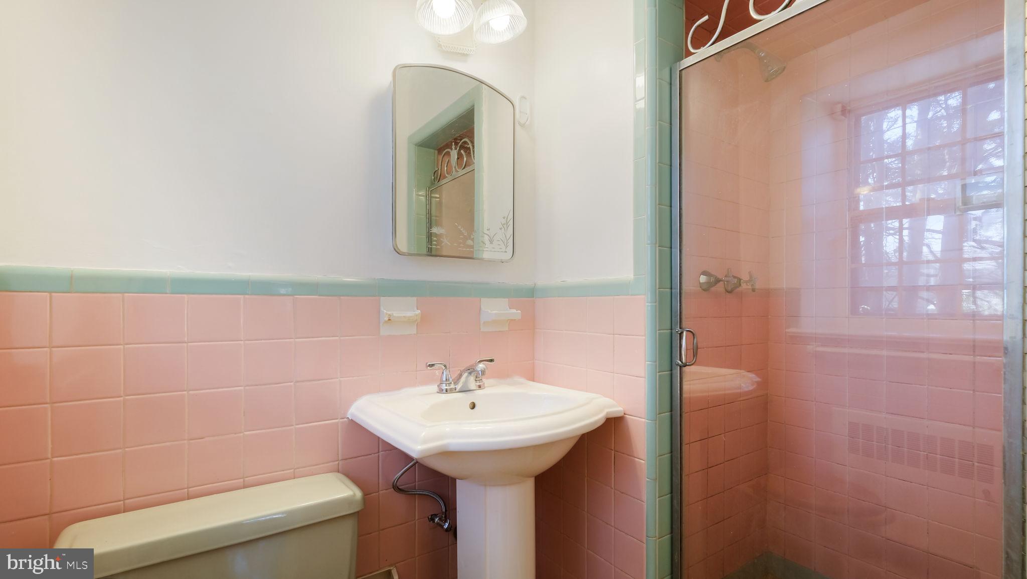 1500 Hellerman Street Philadelphia, PA 19149 - Photo 20 of 31 a bathroom with a sink and a mirror