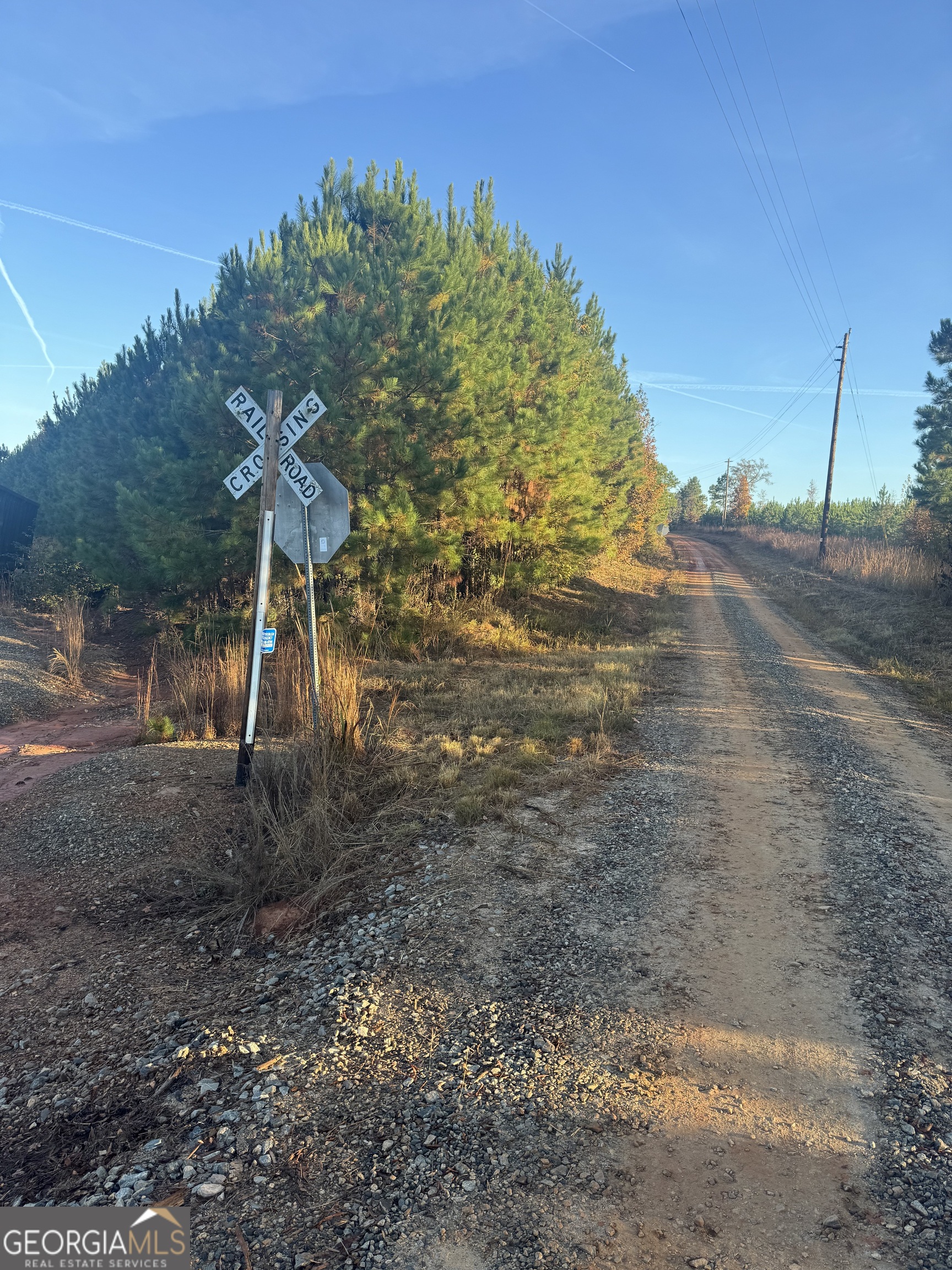0 Pacific Road Monticello, GA 31064 - Photo 2 of 7 a view of a backyard