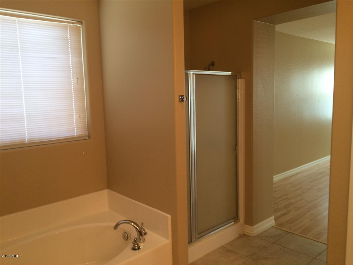 3331 West Grenadine Road Phoenix, AZ 85041 - Photo 12 of 22 Master Tub Shower