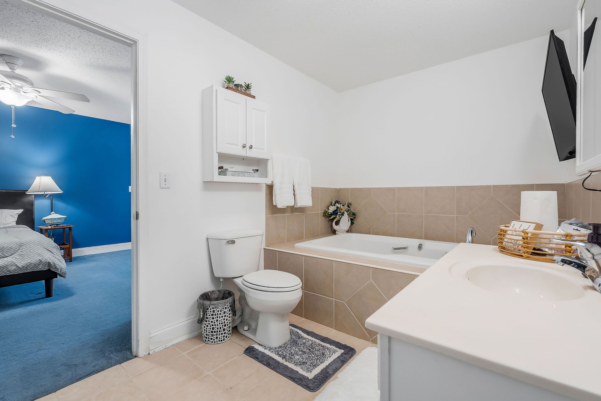 341 Pumpkin Hollow Road Liberty, TN 37095 - Photo 18 of 52 a bathroom with a sink toilet a mirror and vanity