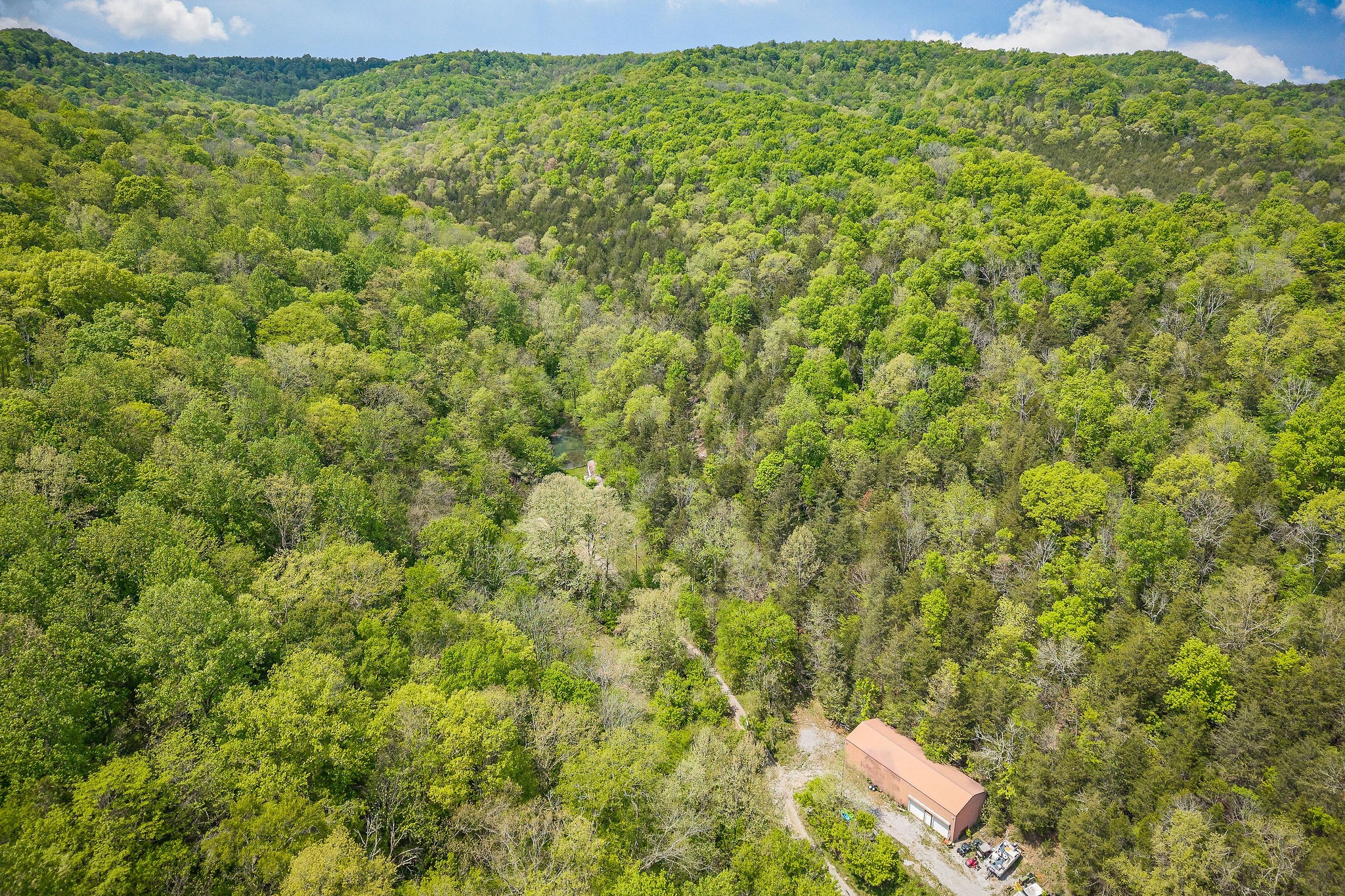 341 Pumpkin Hollow Road Liberty, TN 37095 - Photo 37 of 52 a view of a big yard with plants and a bench
