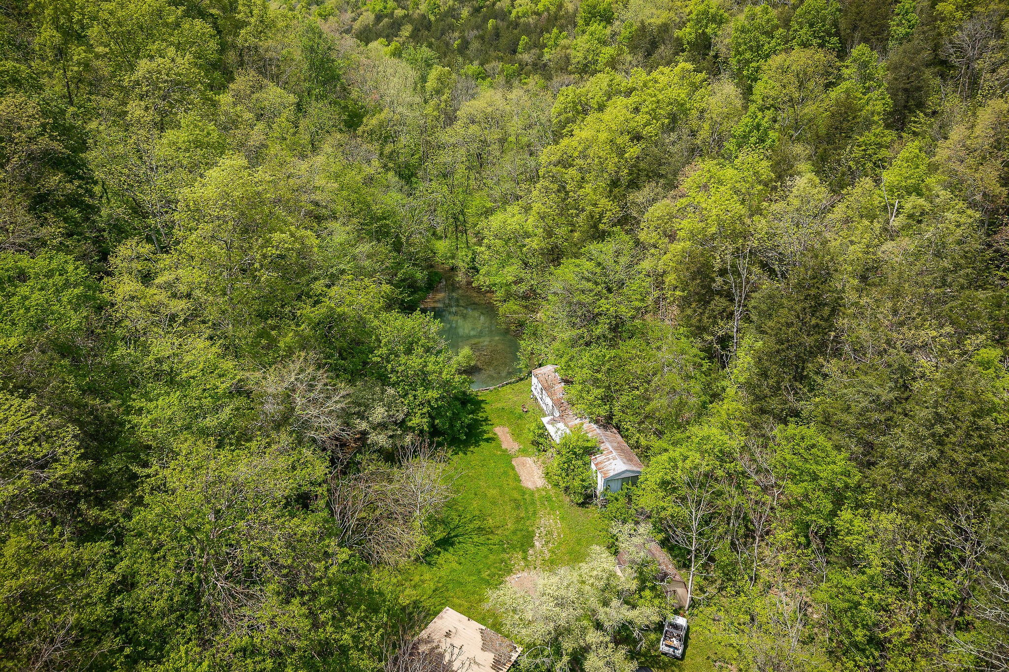 341 Pumpkin Hollow Road Liberty, TN 37095 - Photo 38 of 52 a view of a forest with a houses