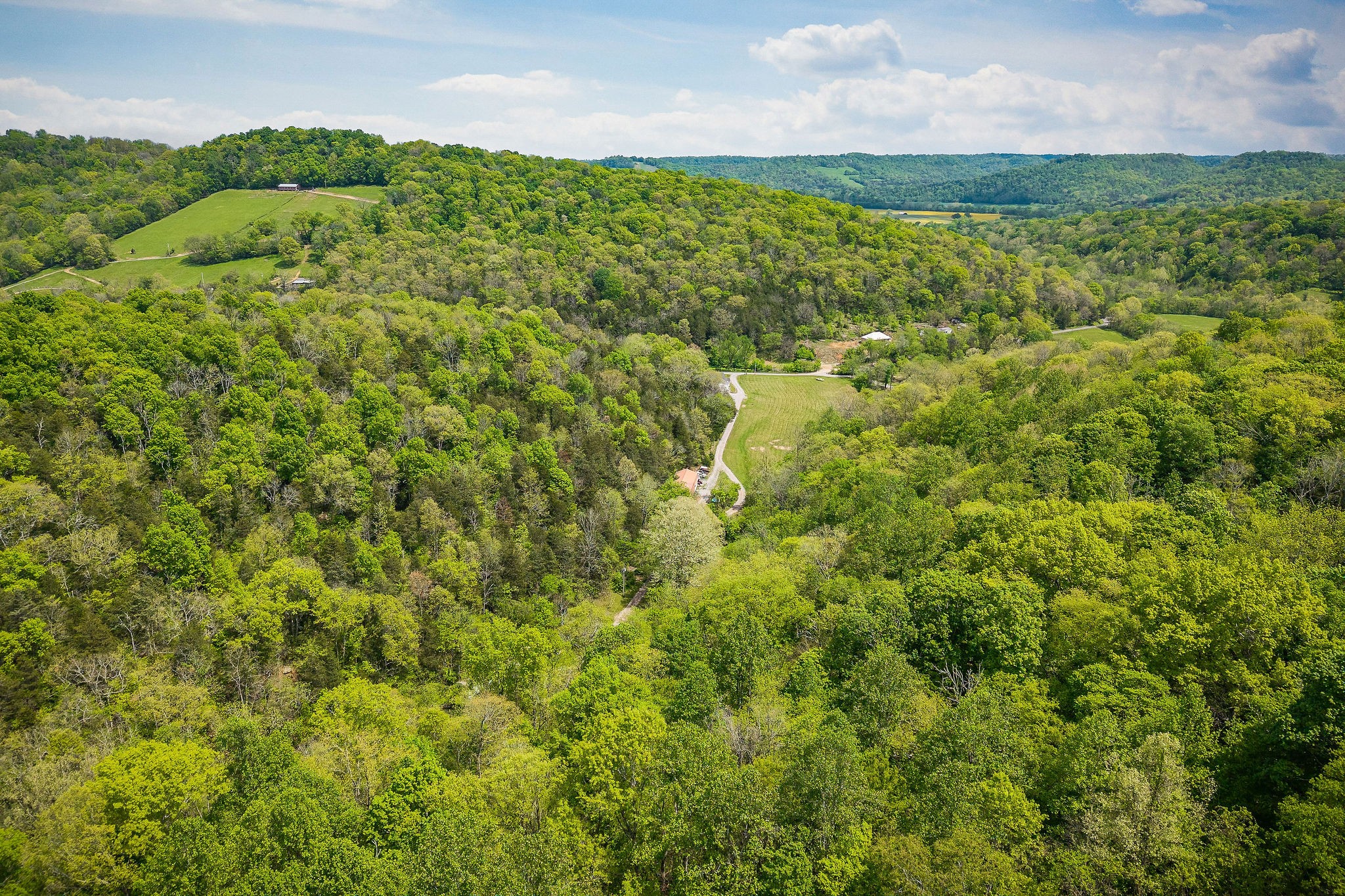341 Pumpkin Hollow Road Liberty, TN 37095 - Photo 40 of 52 a view of a big yard with plants and large trees