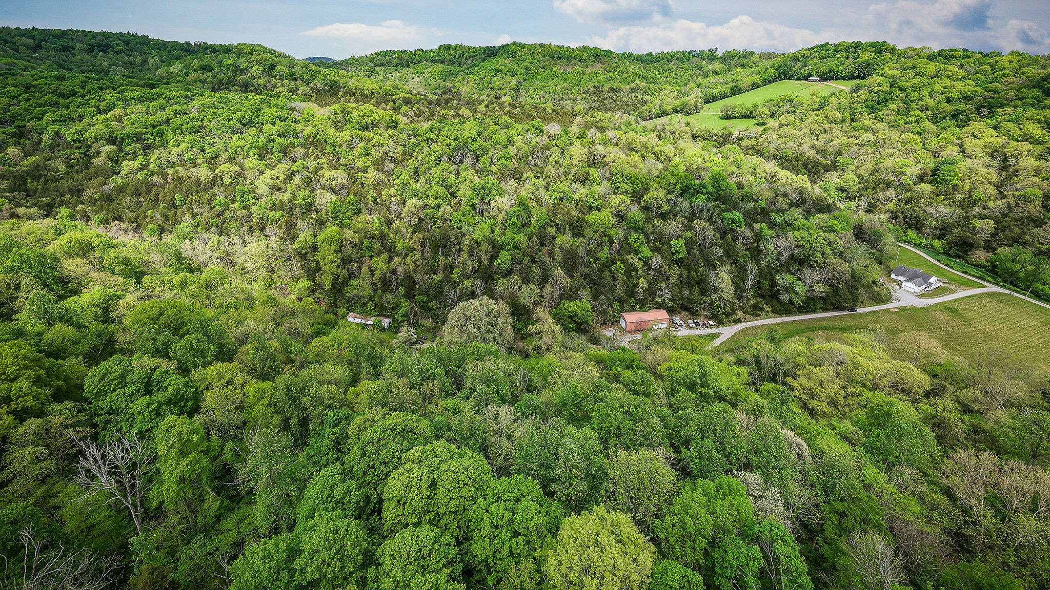 341 Pumpkin Hollow Road Liberty, TN 37095 - Photo 41 of 52 a view of a green field with lots of bushes