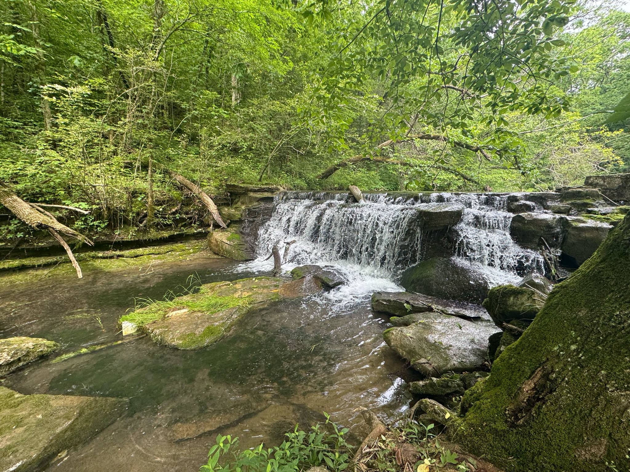 341 Pumpkin Hollow Road Liberty, TN 37095 - Photo 44 of 52