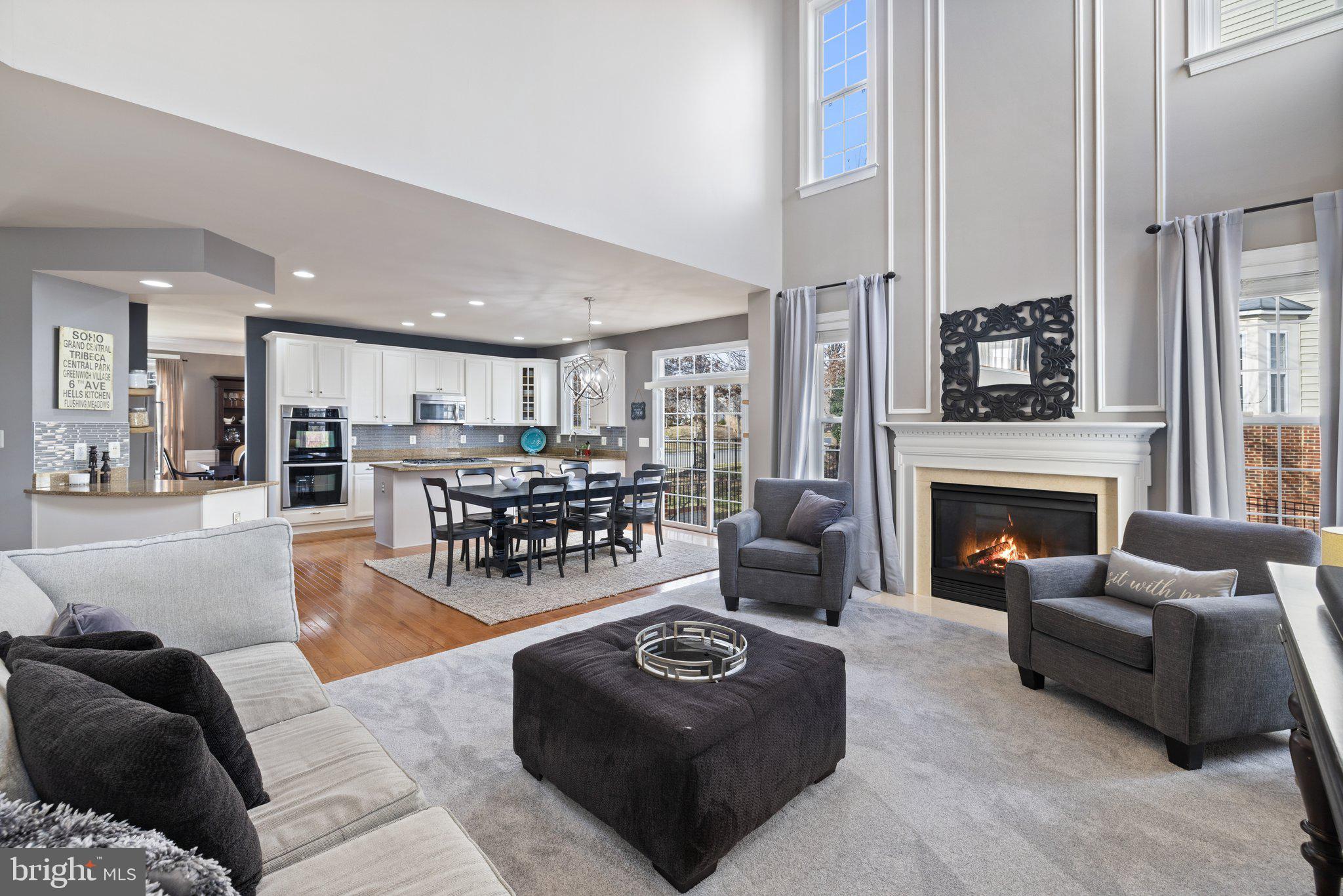 42624 Emperor Ashburn, VA 20148 - Photo 20 of 56 a living room with furniture and a fireplace