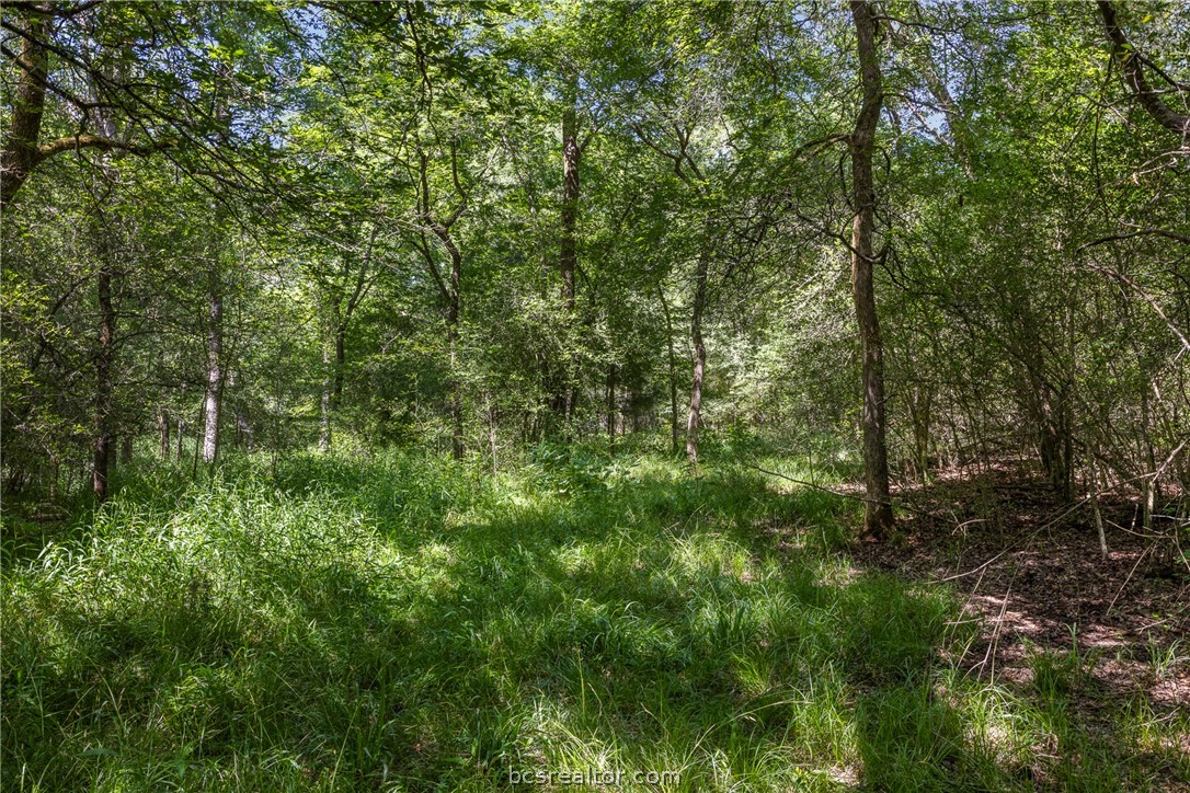 Tbd Weber Road Bryan, TX 77808 - Photo 7 of 43