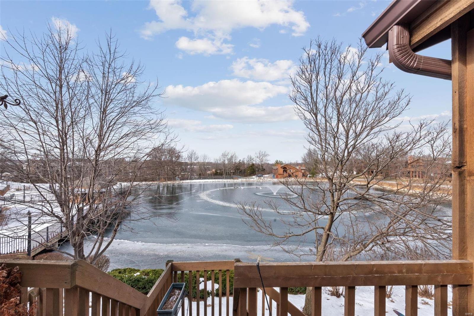 706 Hemingway Lane, Unit D Weldon Spring, MO 63304 - Photo 4 of 24