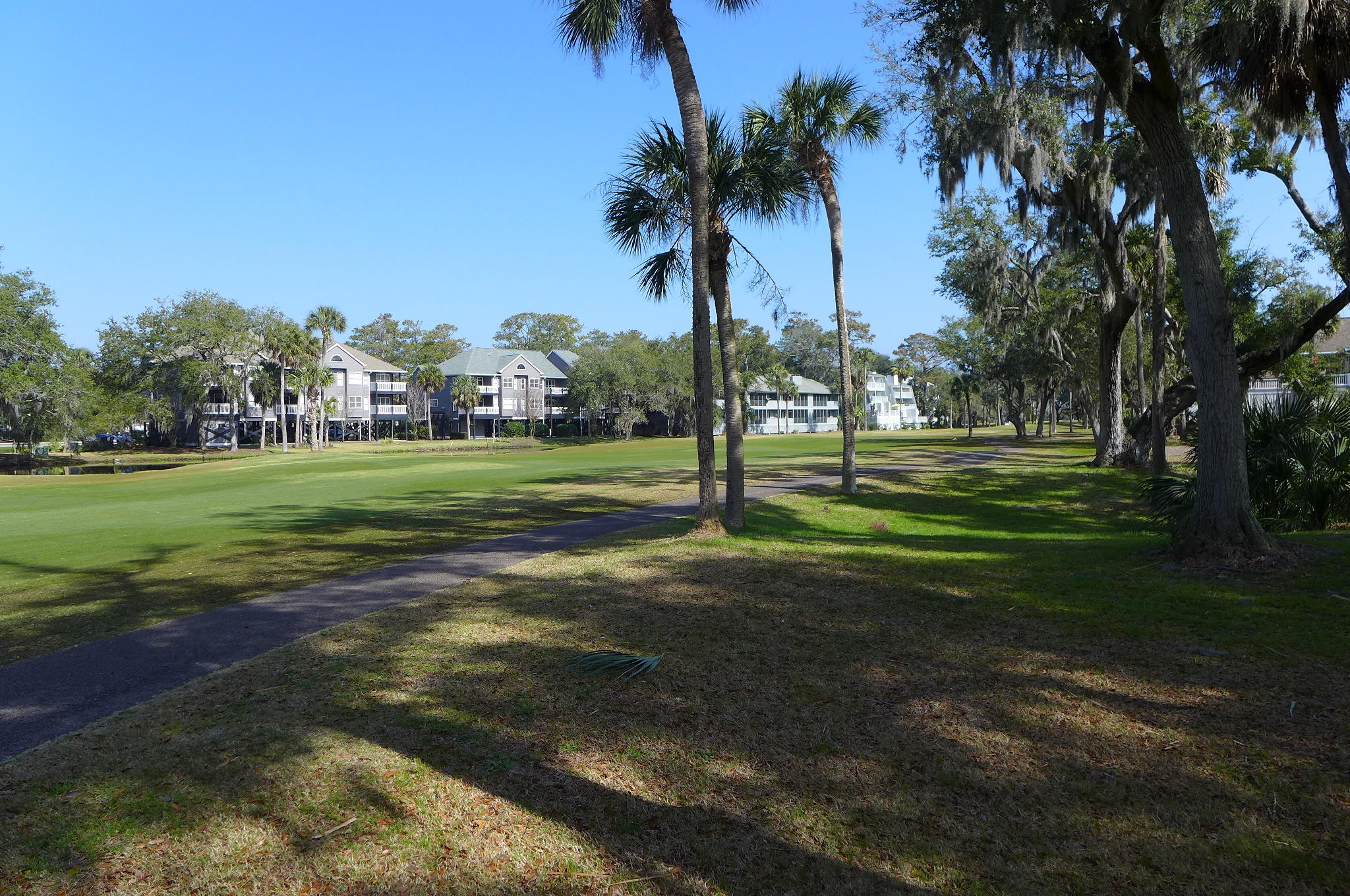 4 Gun Bluff Road Edisto Beach, SC 29438 - Photo 19 of 26 P1050805