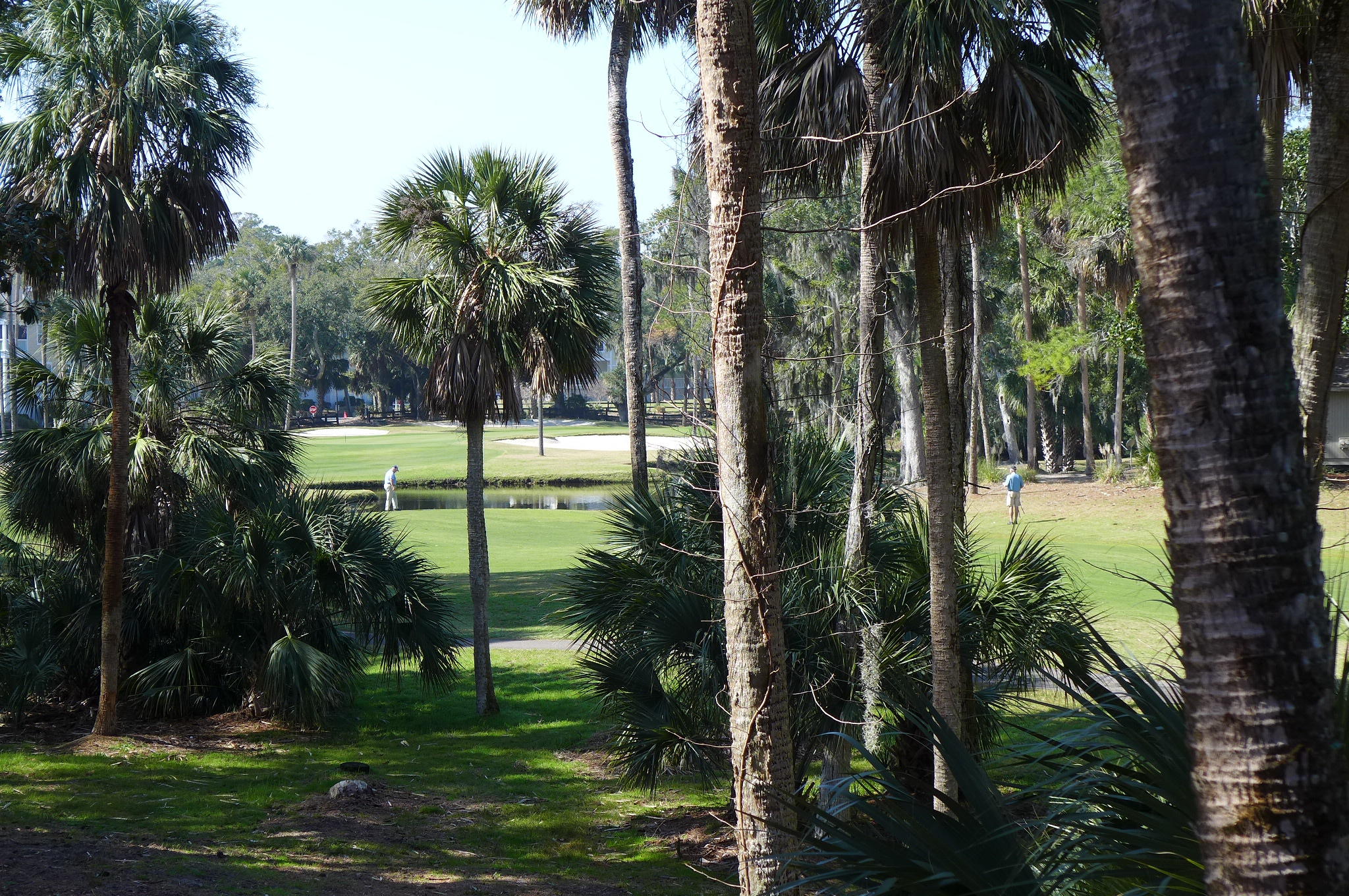 4 Gun Bluff Road Edisto Beach, SC 29438 - Photo 22 of 26 P1050815