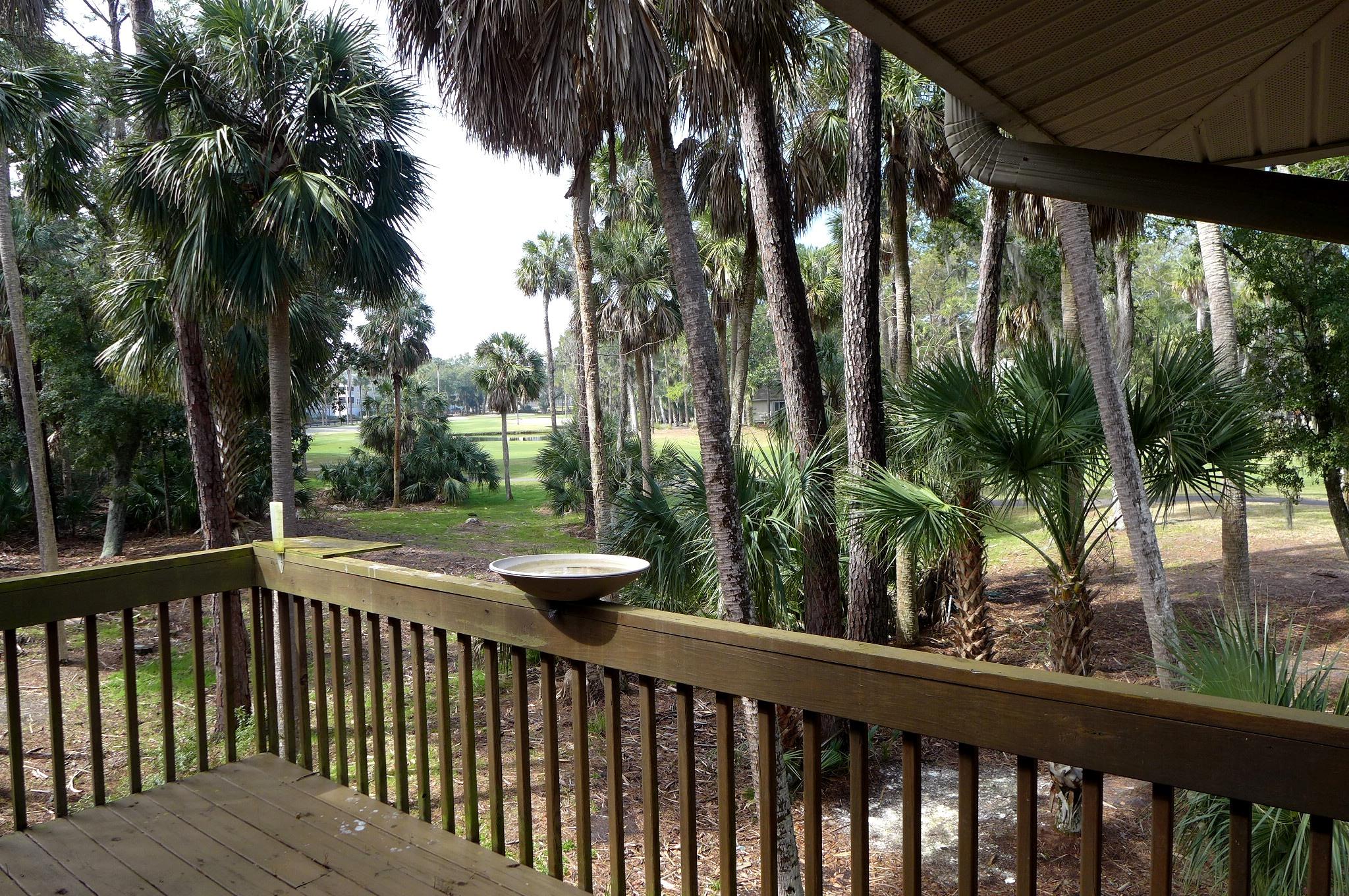 4 Gun Bluff Road Edisto Beach, SC 29438 - Photo 24 of 26 P1050797