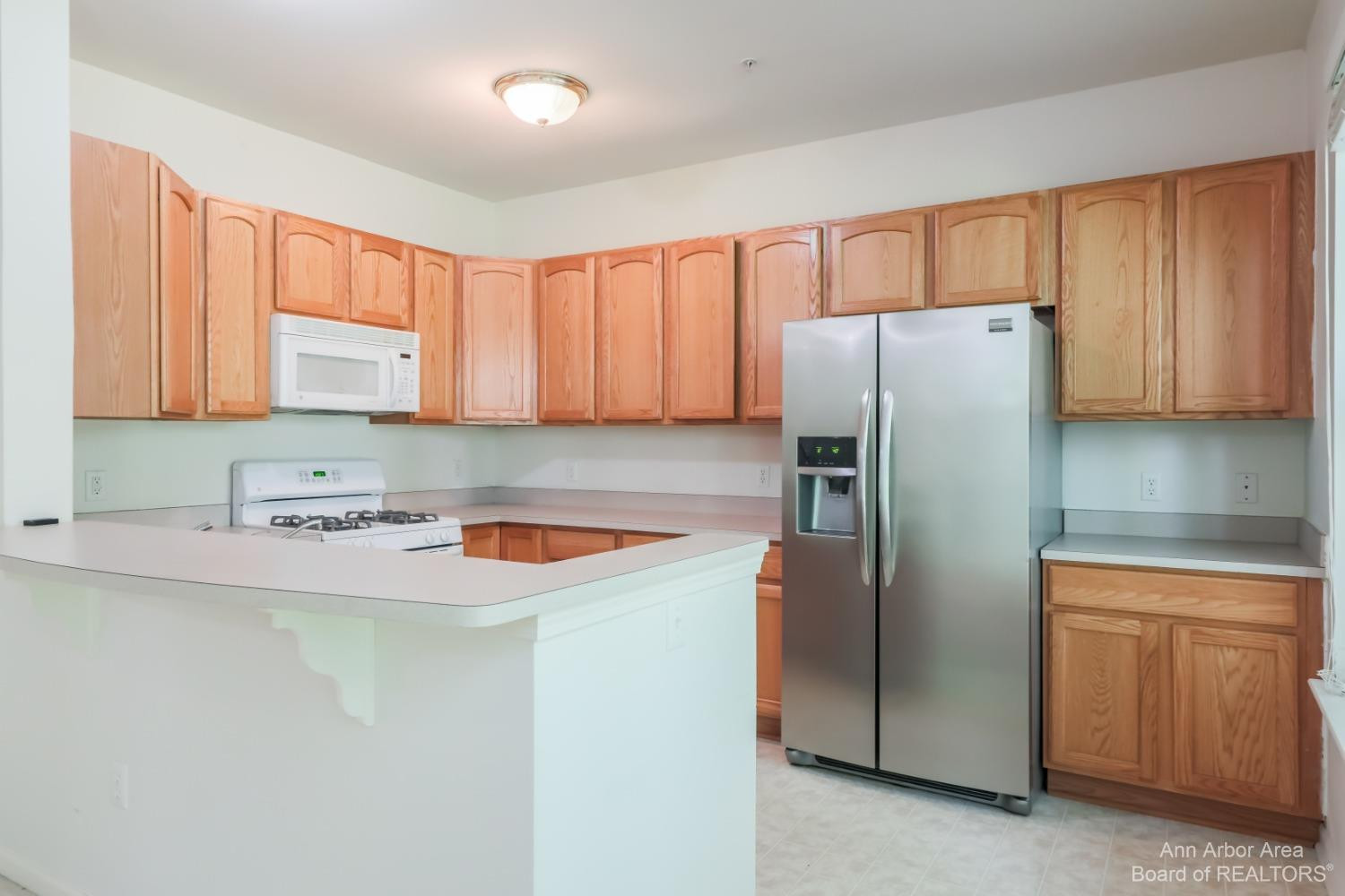 3141 Asher Road Ann Arbor, MI 48104 - Photo 5 of 26 Photo 3