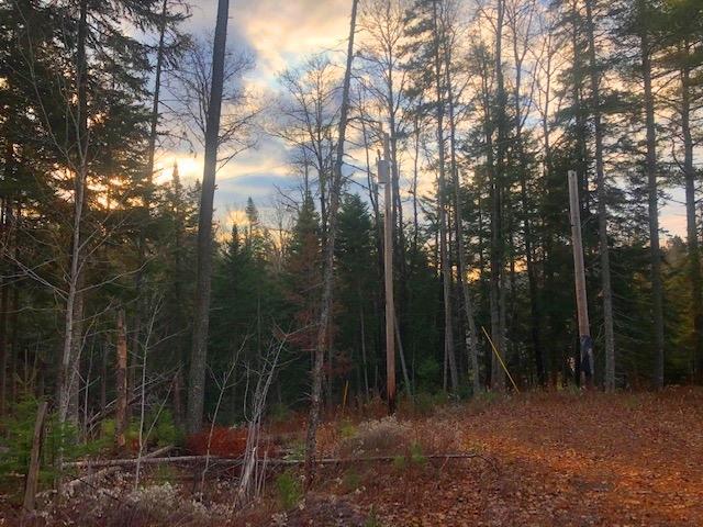 0 Targett Road Rangeley, ME 04970 - Photo 12 of 20 Wooded