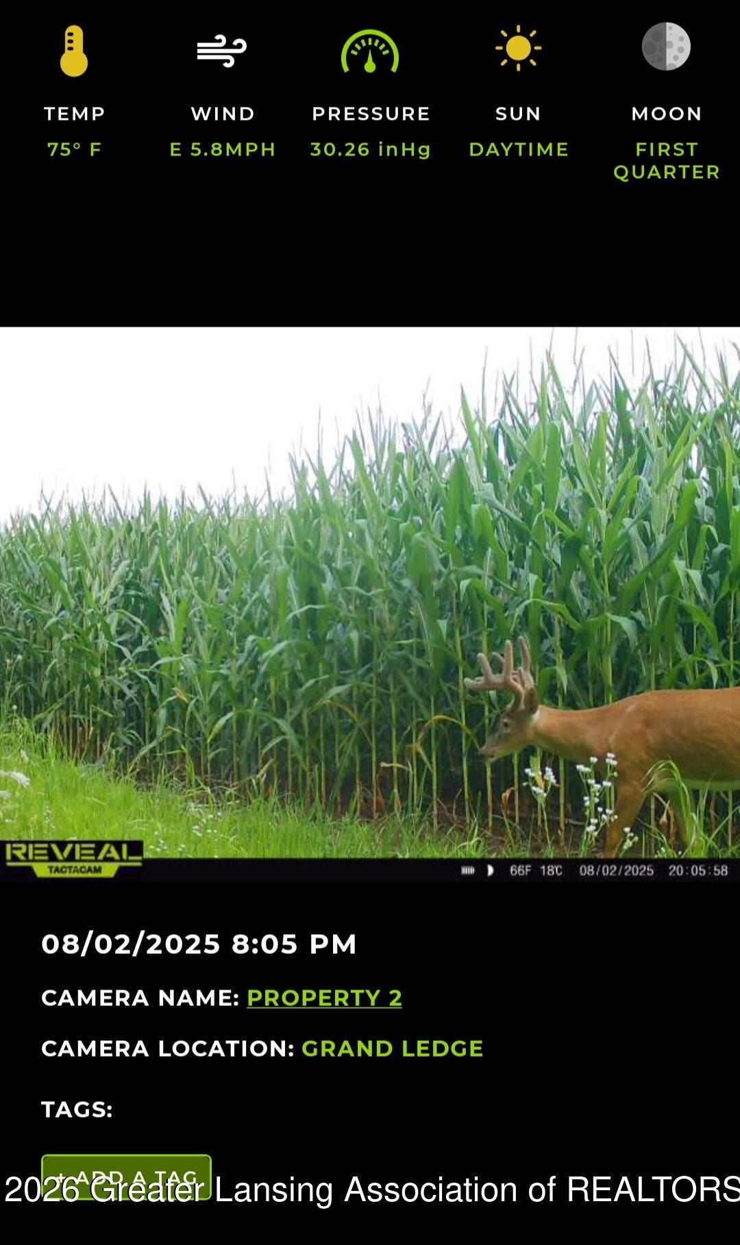 0 North Royston Road Grand Ledge, MI 48837 - Photo 31 of 33 Screenshot_20250802_202513_Reveal