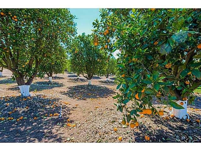 14445 Tyler Road Valley Center, CA 92082 - Photo 14 of 24