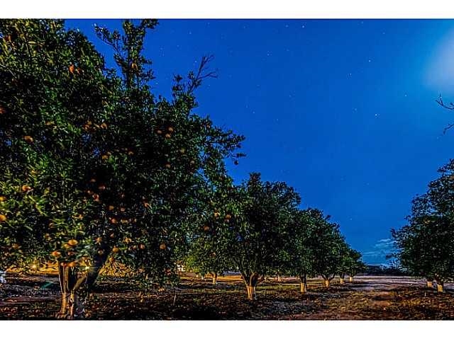 14445 Tyler Road Valley Center, CA 92082 - Photo 18 of 24