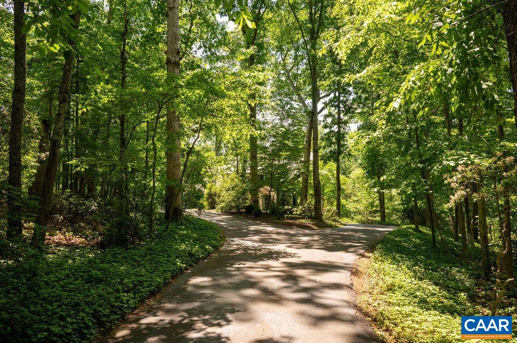 315 Terrell Road West Charlottesville, VA 22901 - Photo 45 of 52