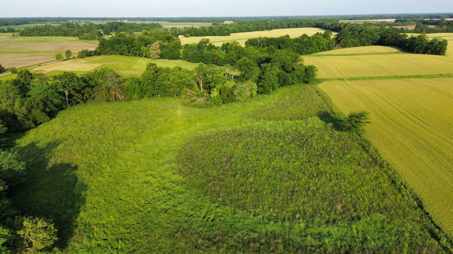 0 County Highway 29 Road Rinard, IL 62878 - Photo 2 of 28