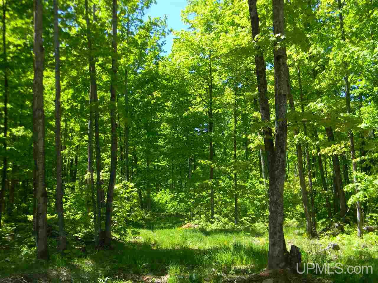 Tbd Rauhala Road, Unit LOT 4 COLES CREEK SUBDIV Atlantic Mine, MI 49931 - Photo 10 of 13