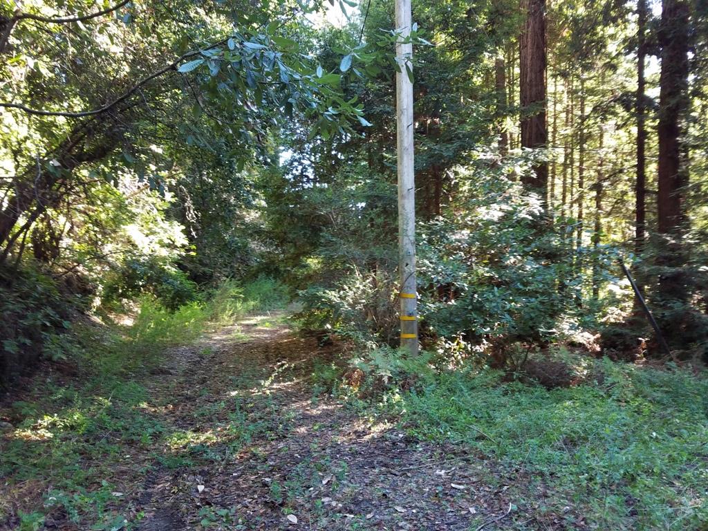 5886 Fern Flat Road Aptos, CA 95003 - Photo 11 of 16 Gallery Image 11