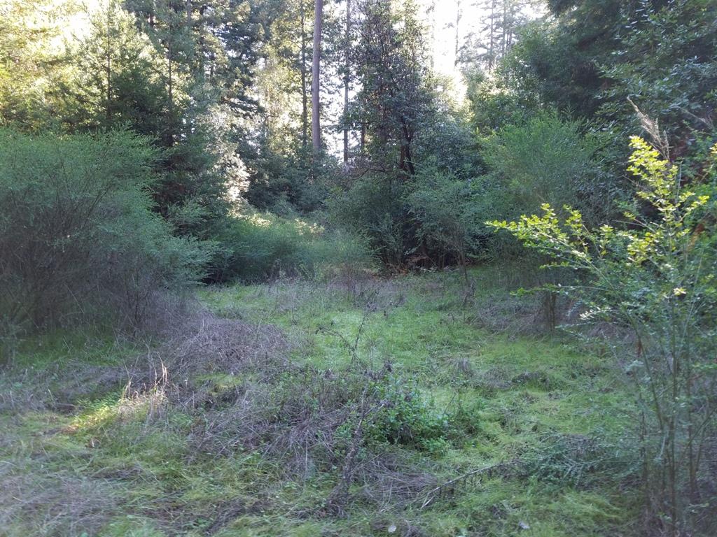 5886 Fern Flat Road Aptos, CA 95003 - Photo 8 of 16 Gallery Image 8