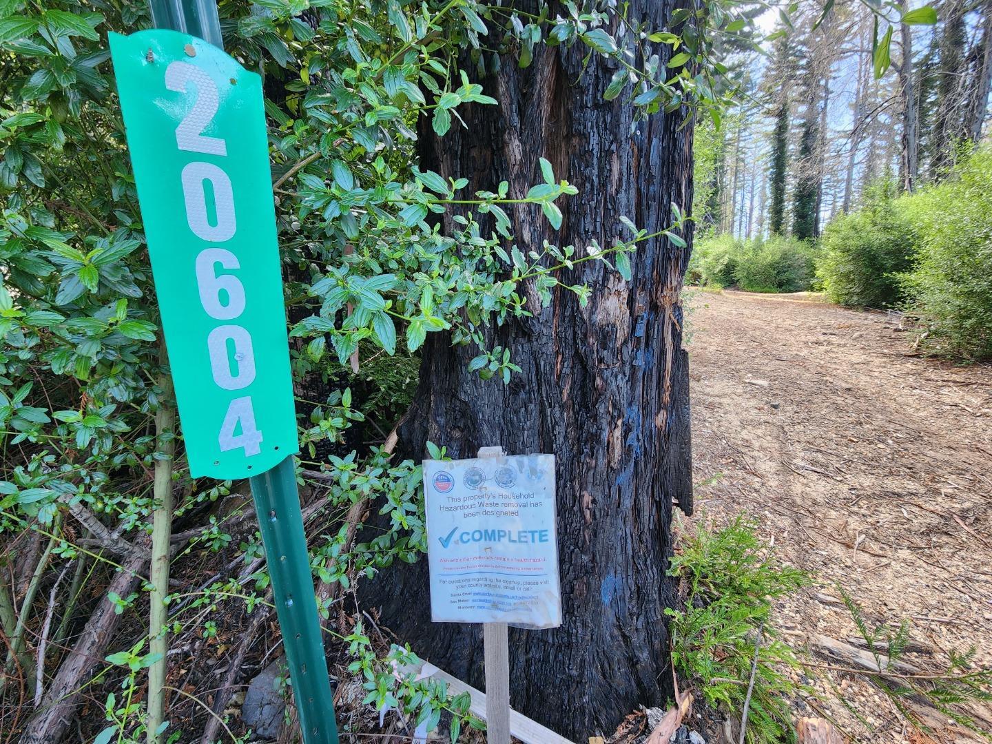 20604 Little Basin Road Boulder Creek, CA 95006 - Photo 6 of 19 a view of a bunch of plants
