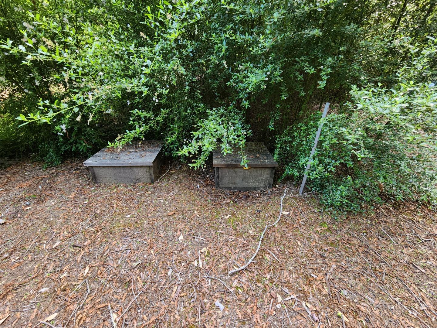 20604 Little Basin Road Boulder Creek, CA 95006 - Photo 10 of 19 a view of a backyard with plants and large trees