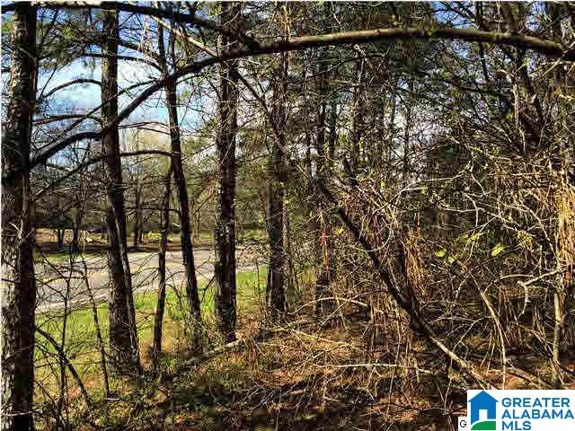 79 Highway 79, Unit 3 9 Cleveland, AL 35049 - Photo 6 of 21