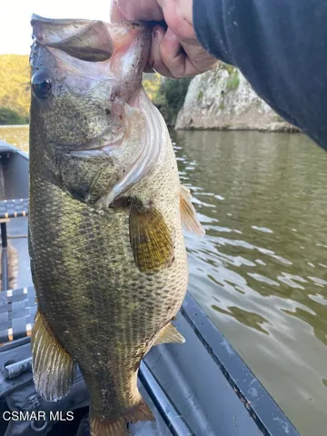 a view of outdoor space