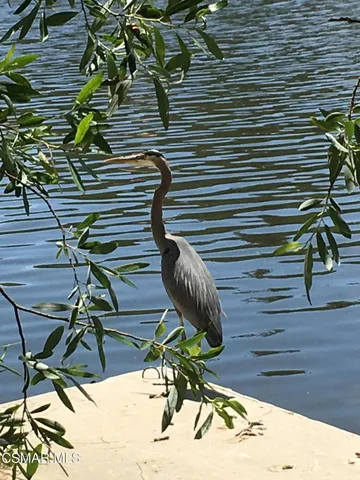 a view of a backyard with chairs