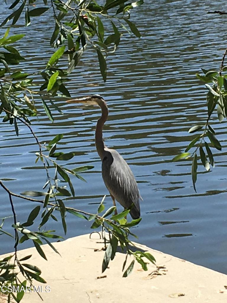 2239 Pinecrest Road Agoura Hills, CA 91301 - Photo 2 of 26