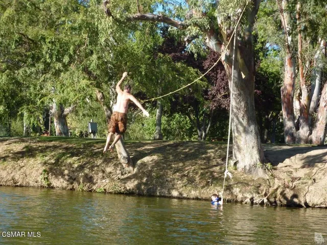 a view of a lake with a trees