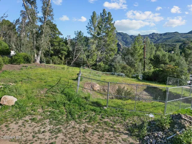 a view of a field with a tree