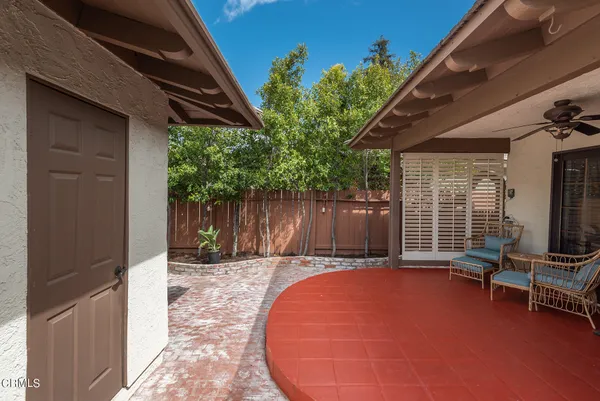 a view of a backyard with potted plants and large tree