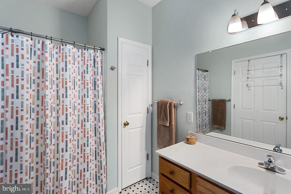 294 Ridgewood Avenue Broadway, VA 22815 - Photo 12 of 23 Primary Bath with walk-in shower & grab bars.