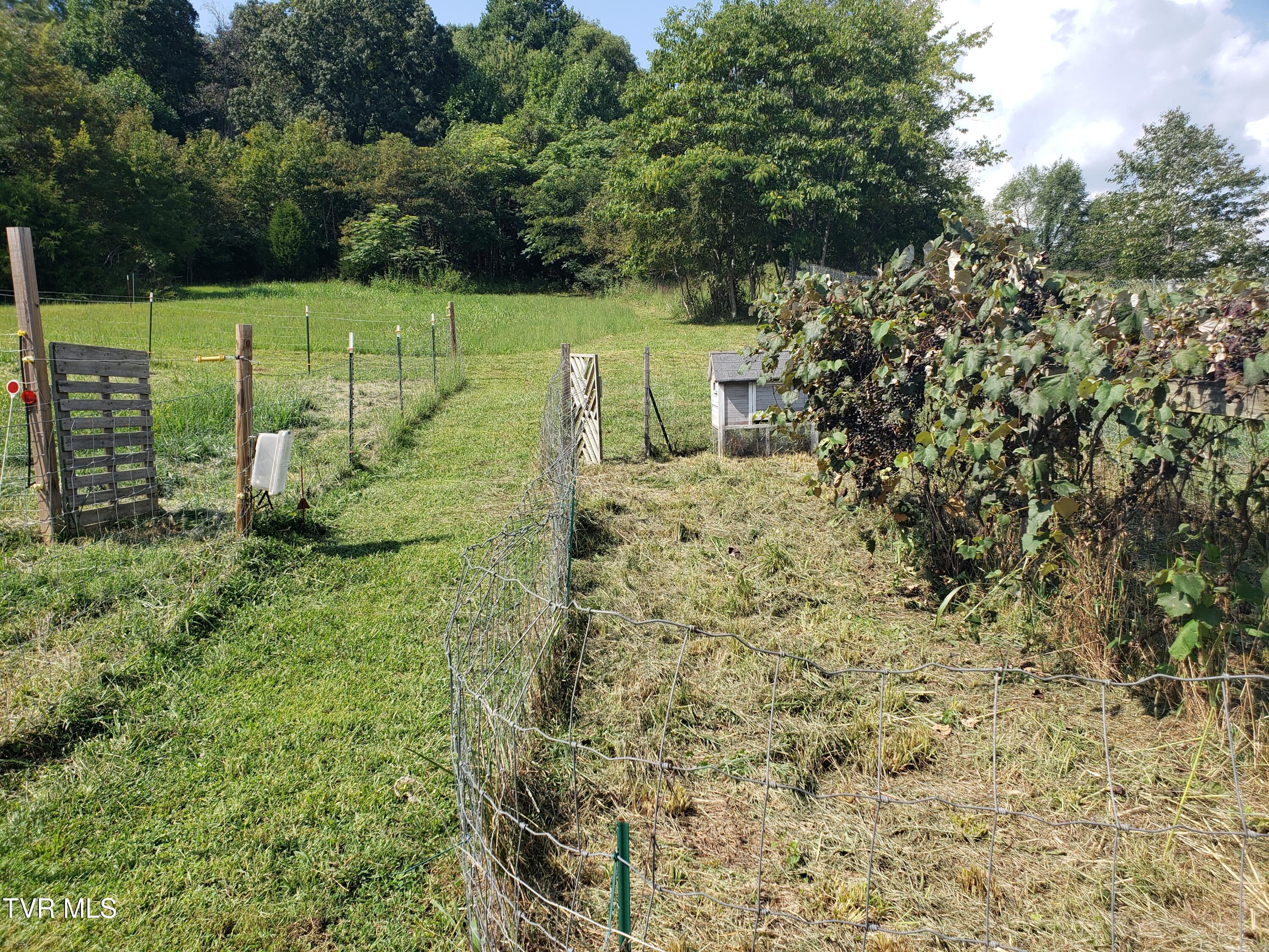 499 Campbell Circle Chuckey, TN 37641 - Photo 34 of 38 x20240831_154809