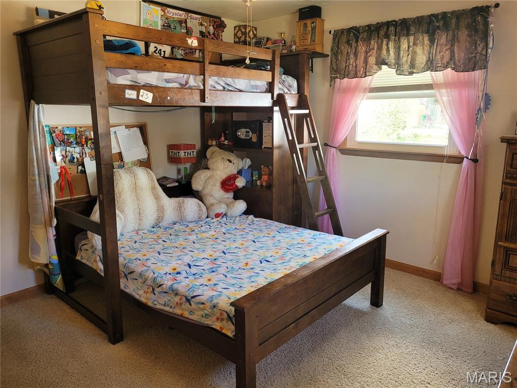 20 Pin Oak Drive Highland, IL 62249 - Photo 17 of 31