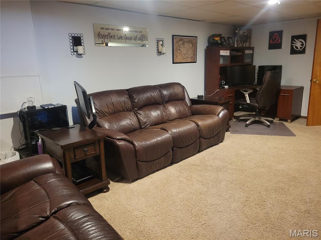 20 Pin Oak Drive Highland, IL 62249 - Photo 24 of 31