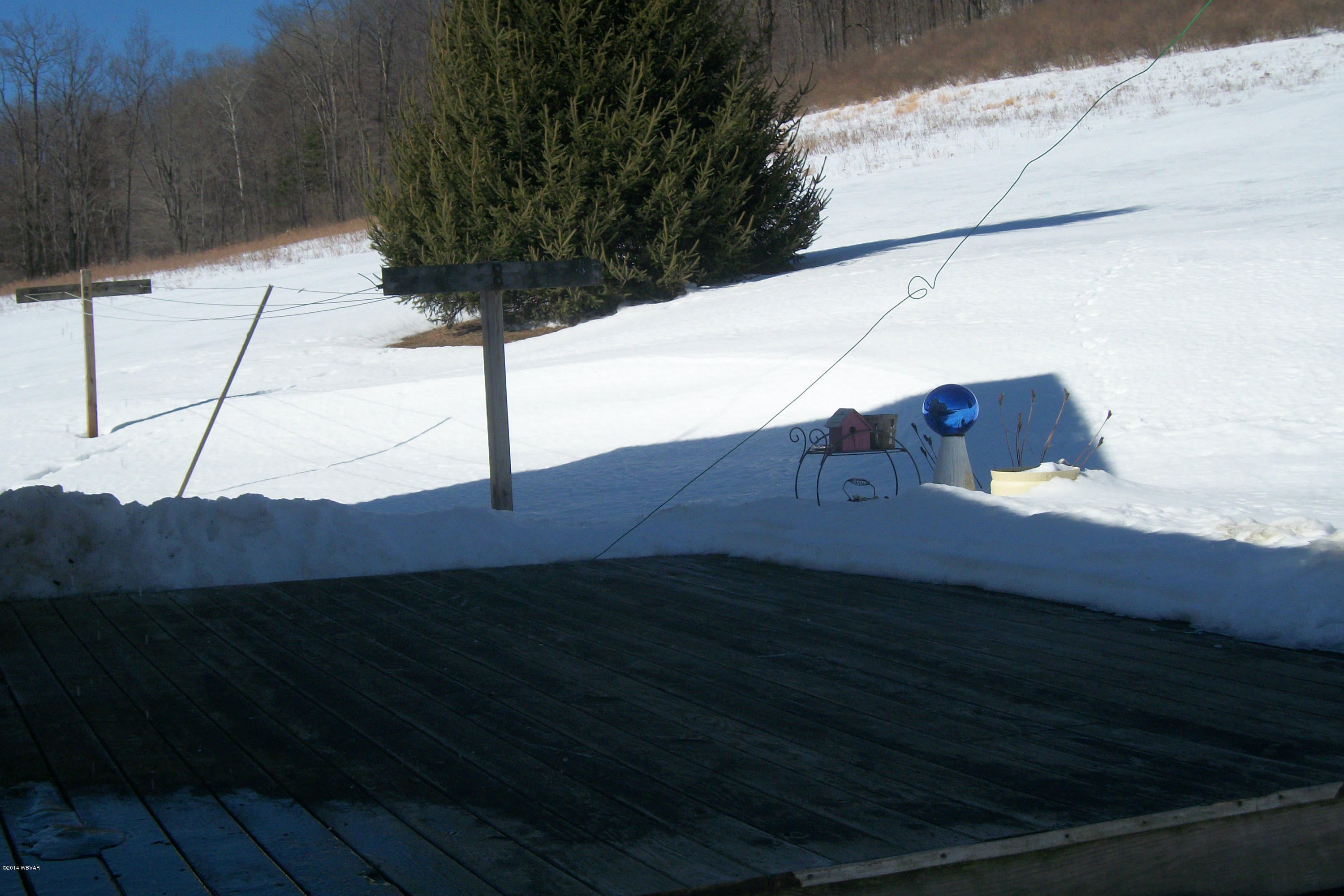 1724 Steam Valley Road Trout Run, PA 17771 - Photo 17 of 21 Deck