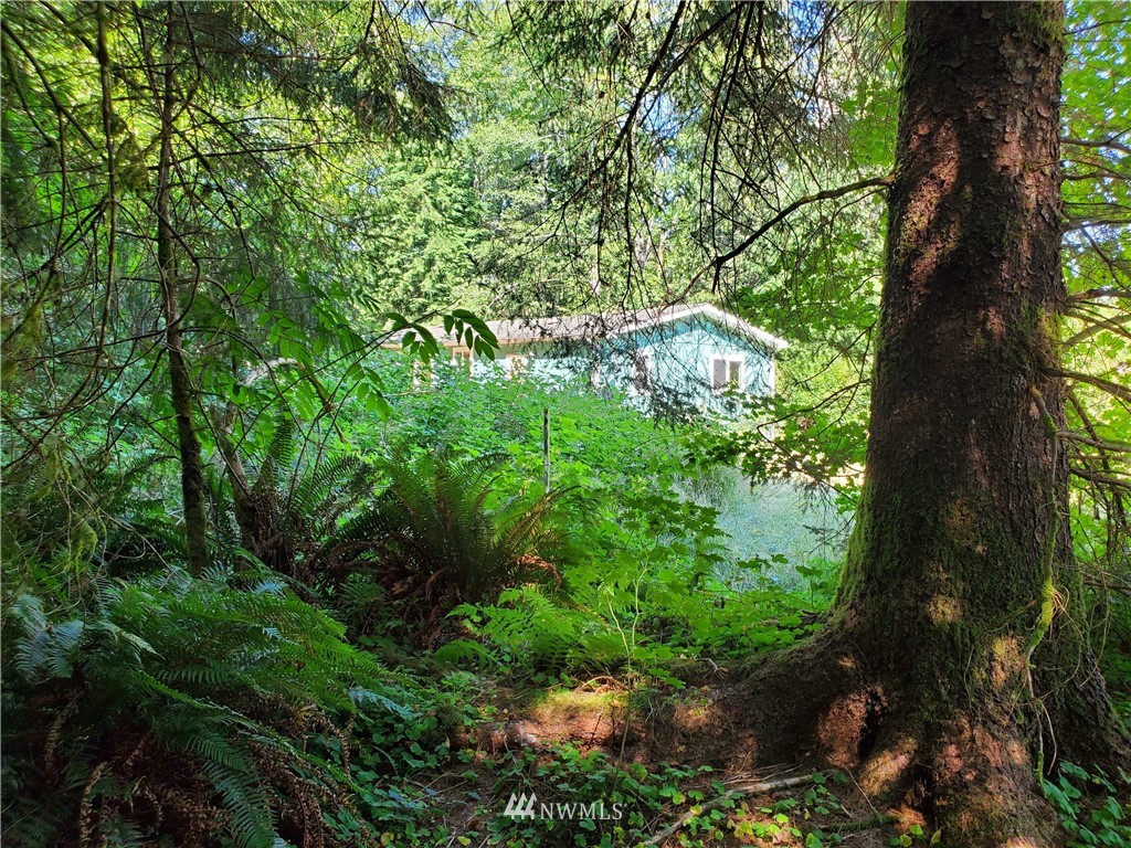127 Elk Corner Road Forks, WA 98331 - Photo 18 of 19 Gallery Image 18