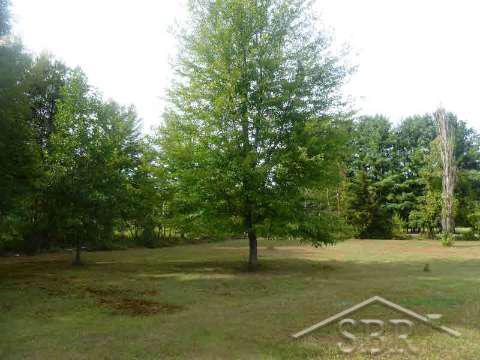 12075 Prior St. Charles, MI 48655 - Photo 11 of 27 20373747-10.JPG