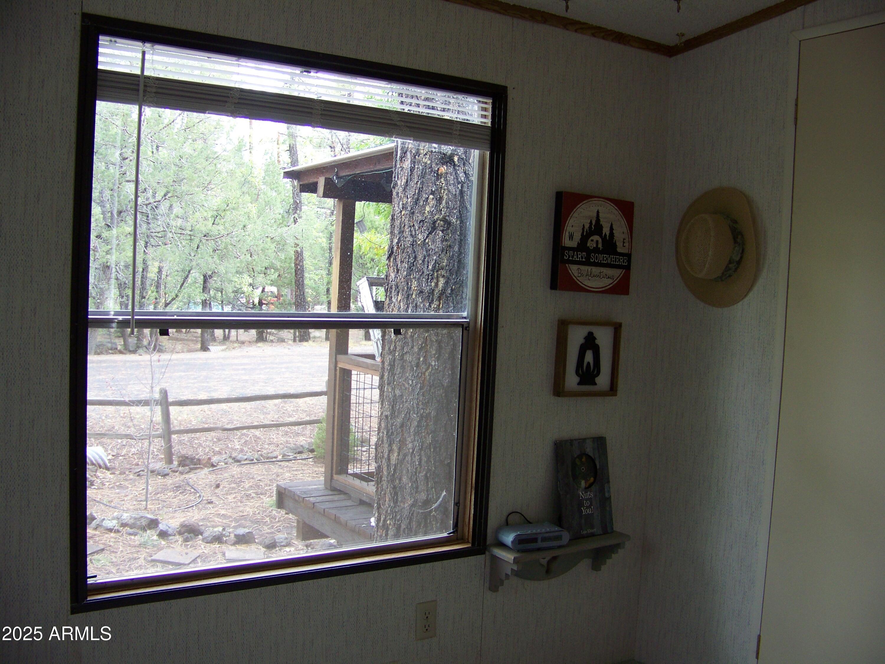 1167 White Tail Lane Pinetop, AZ 85935 - Photo 27 of 58 a view of a window in a room