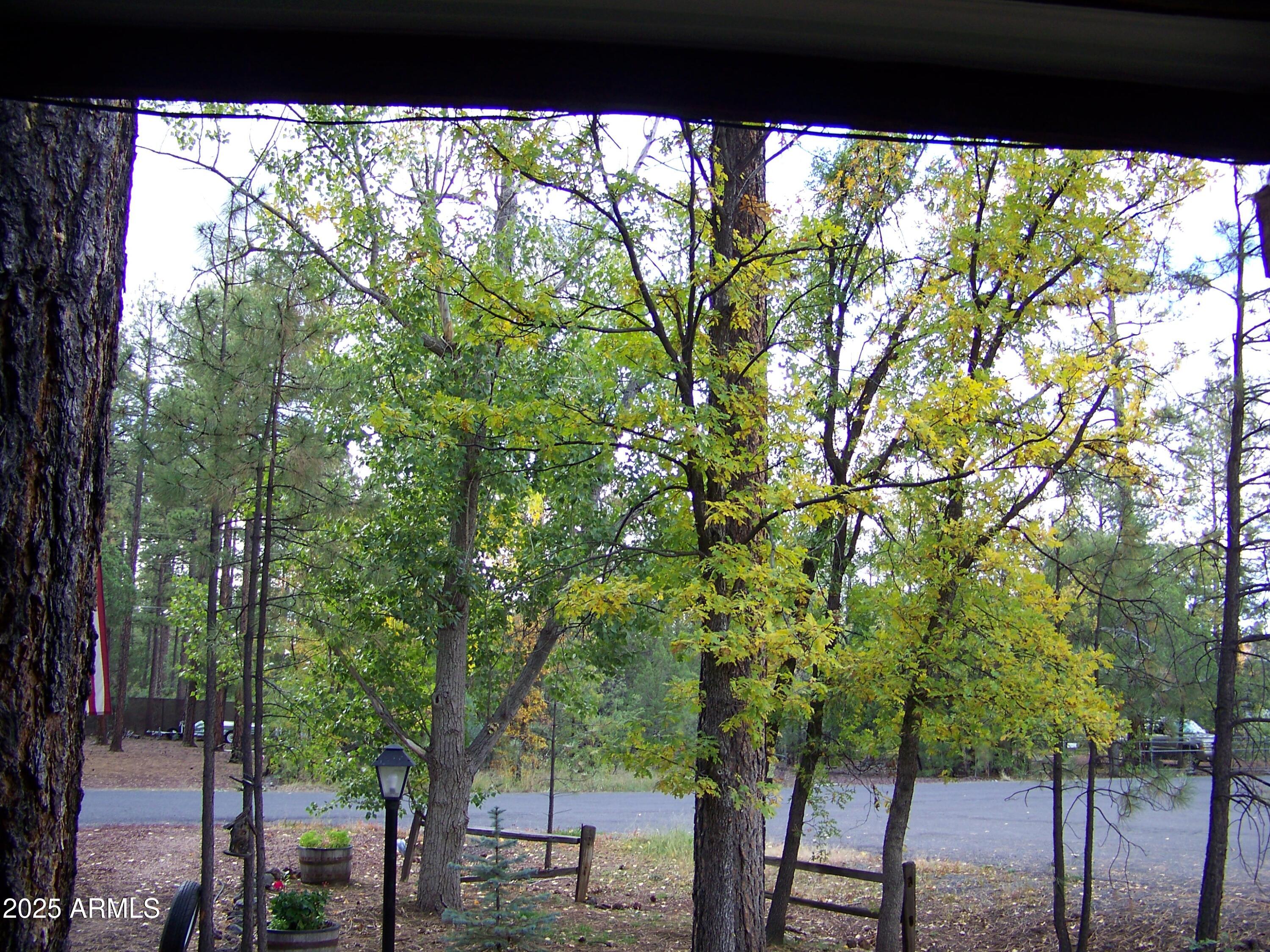 1167 White Tail Lane Pinetop, AZ 85935 - Photo 3 of 58 100_6533