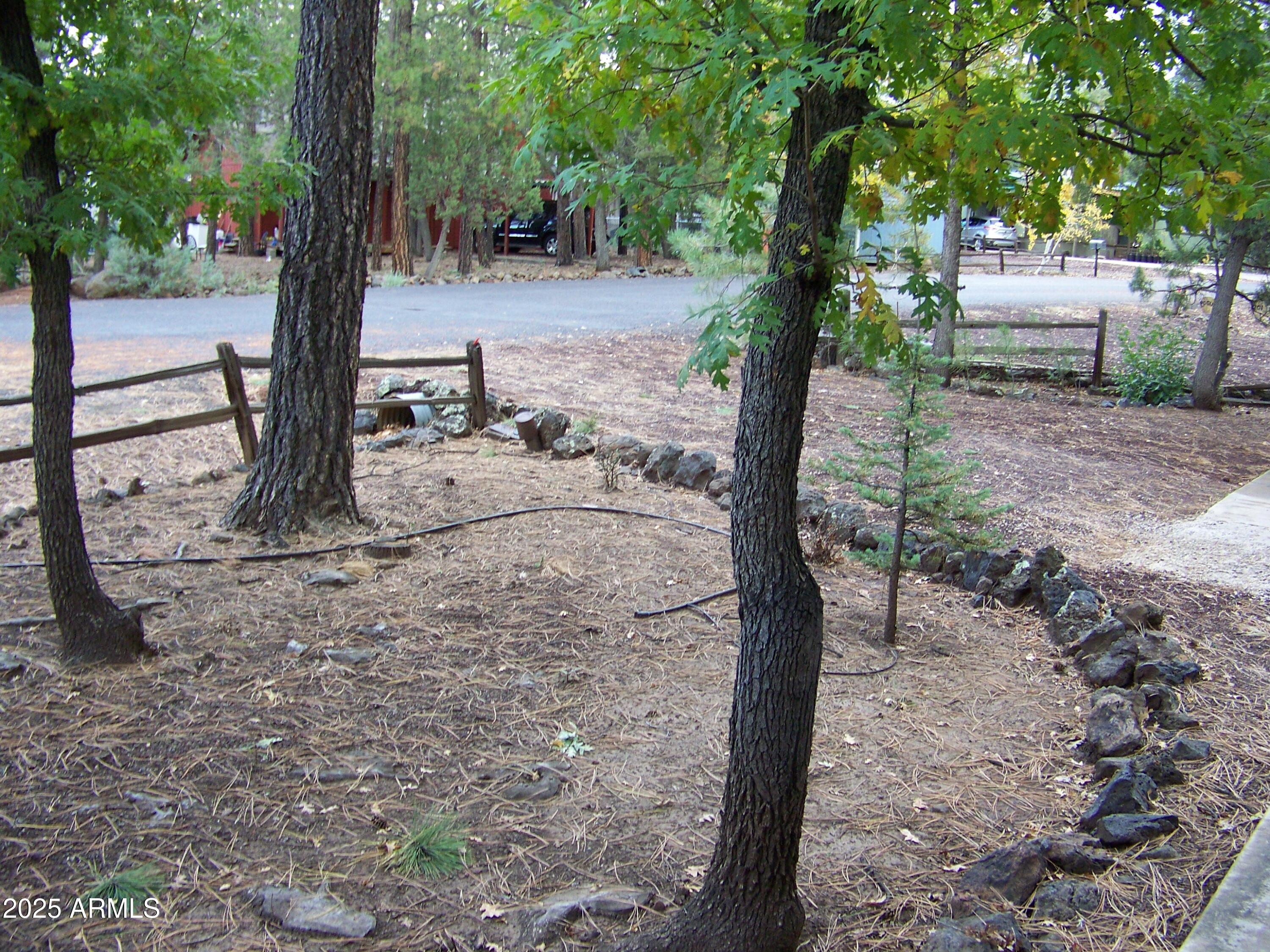 1167 White Tail Lane Pinetop, AZ 85935 - Photo 45 of 58 a view of a tree in the middle of a yard