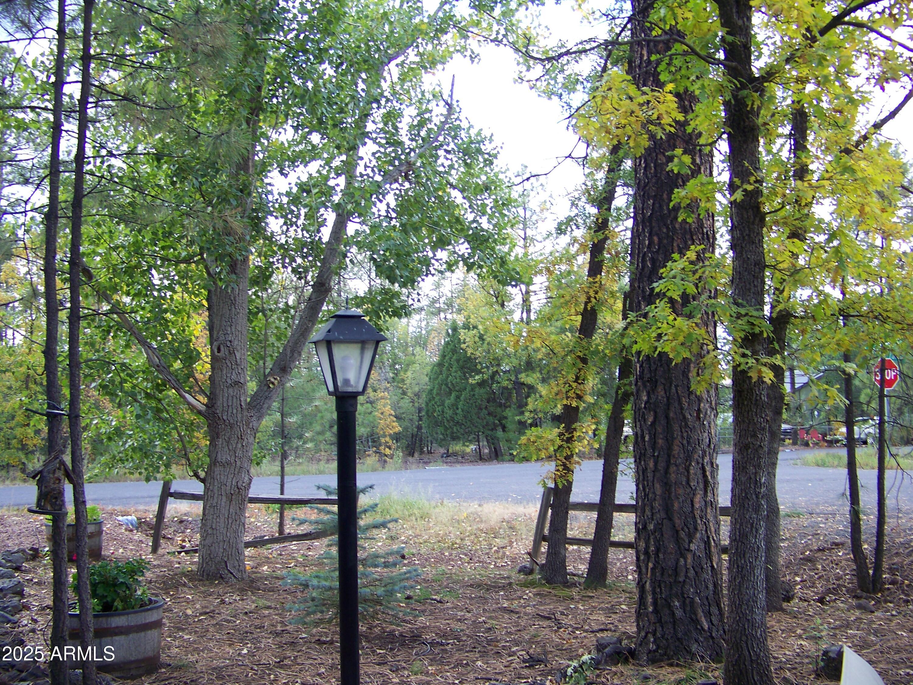 1167 White Tail Lane Pinetop, AZ 85935 - Photo 46 of 58 a view of outdoor space with street view