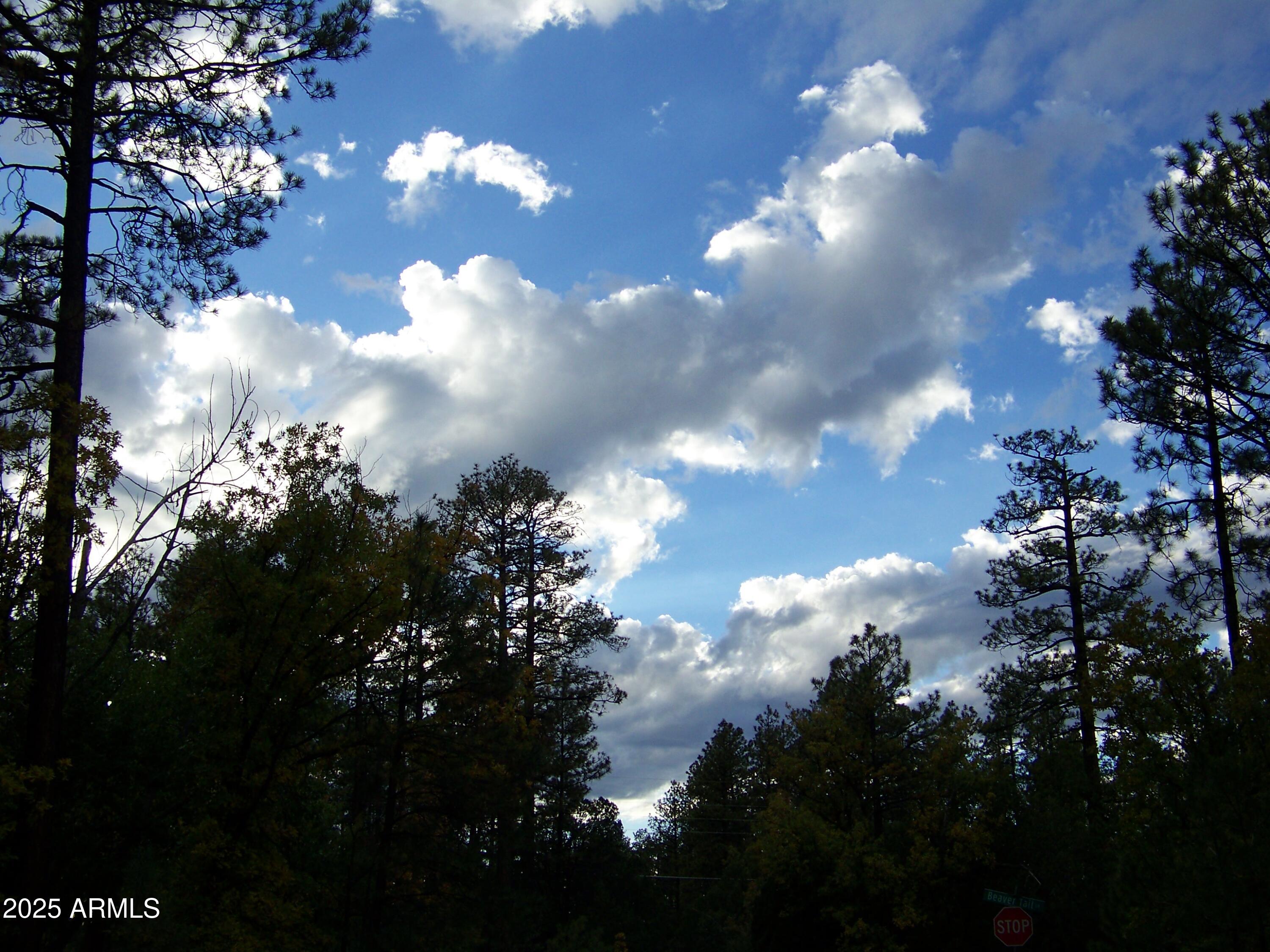 1167 White Tail Lane Pinetop, AZ 85935 - Photo 56 of 58 a view of a city