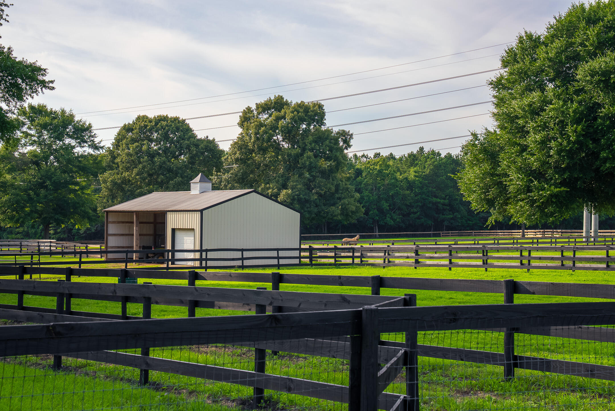 500 Burkelo Road Wagener, SC 29164 - Photo 7 of 80